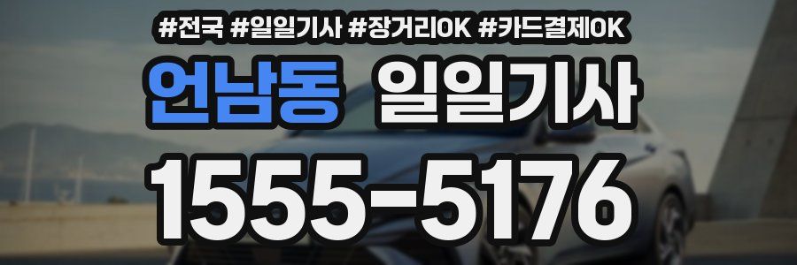 언남동 일일기사