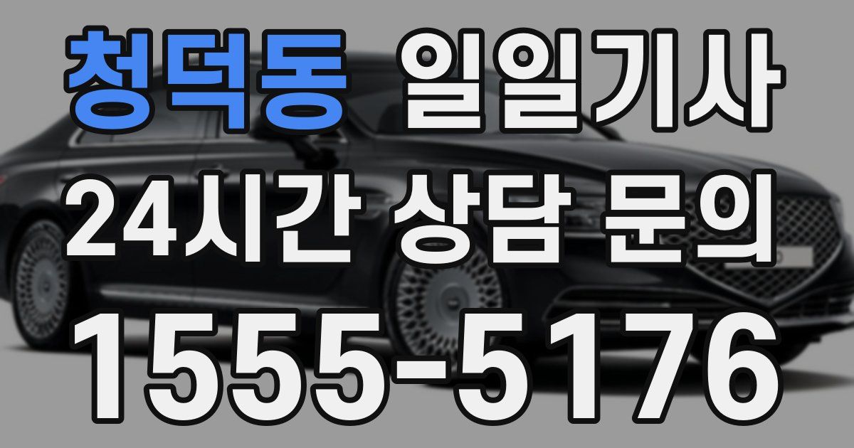 일일대리기사