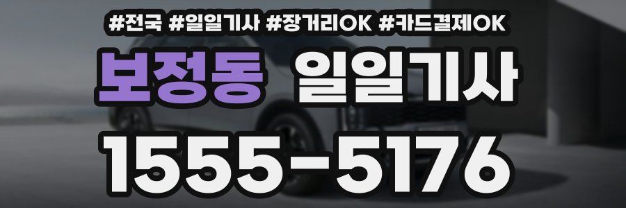 보정동 일일기사