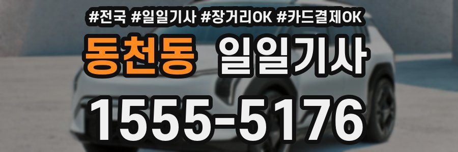 동천동 일일기사