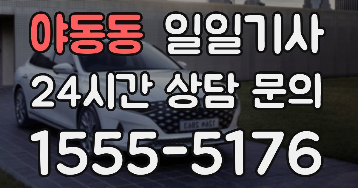일일대리기사