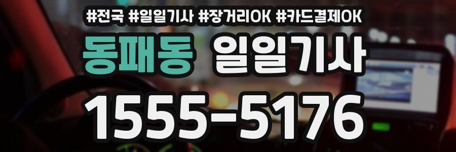 동패동 일일기사