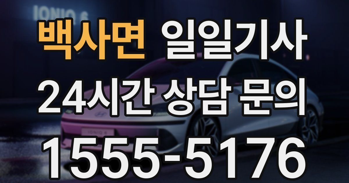 일일대리기사