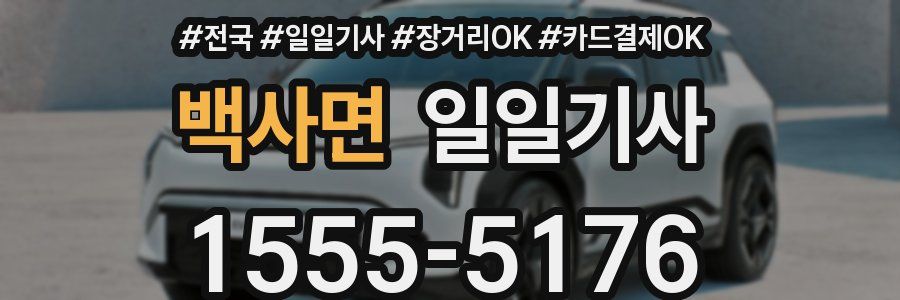 백사면 일일기사