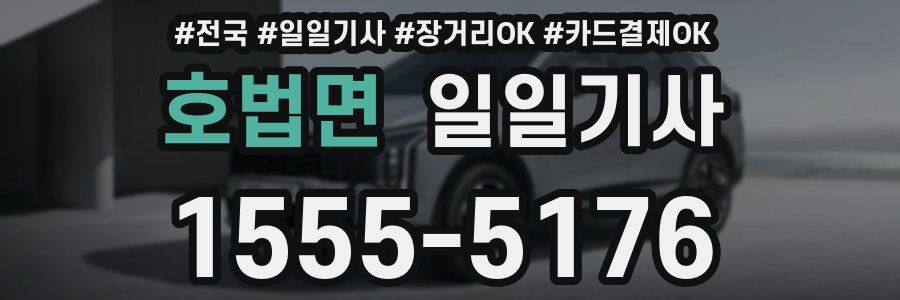 호법면 일일기사