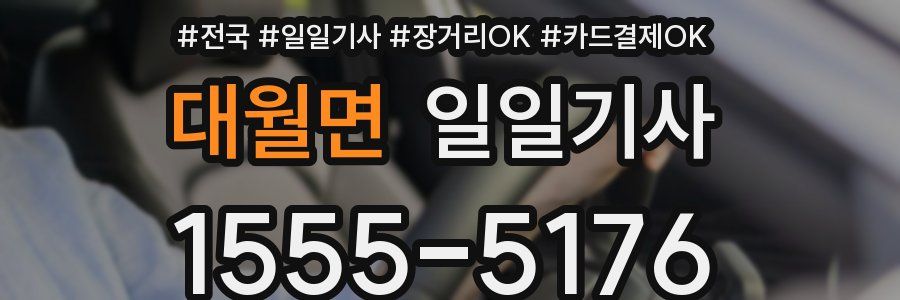 대월면 일일기사