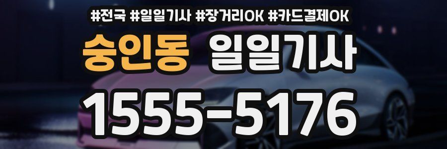 숭인동 일일기사