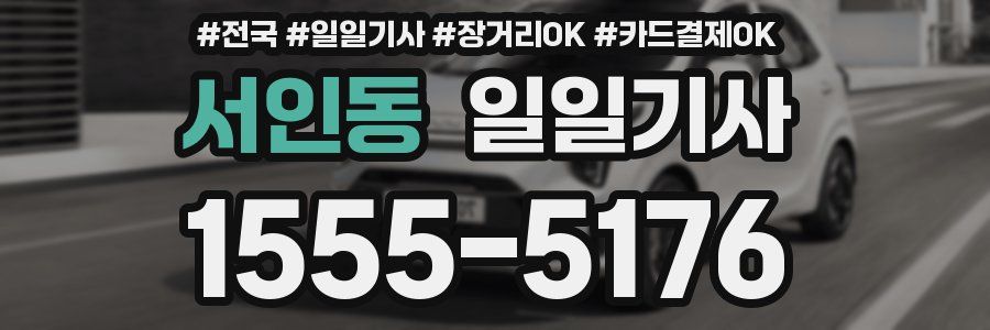 서인동 일일기사