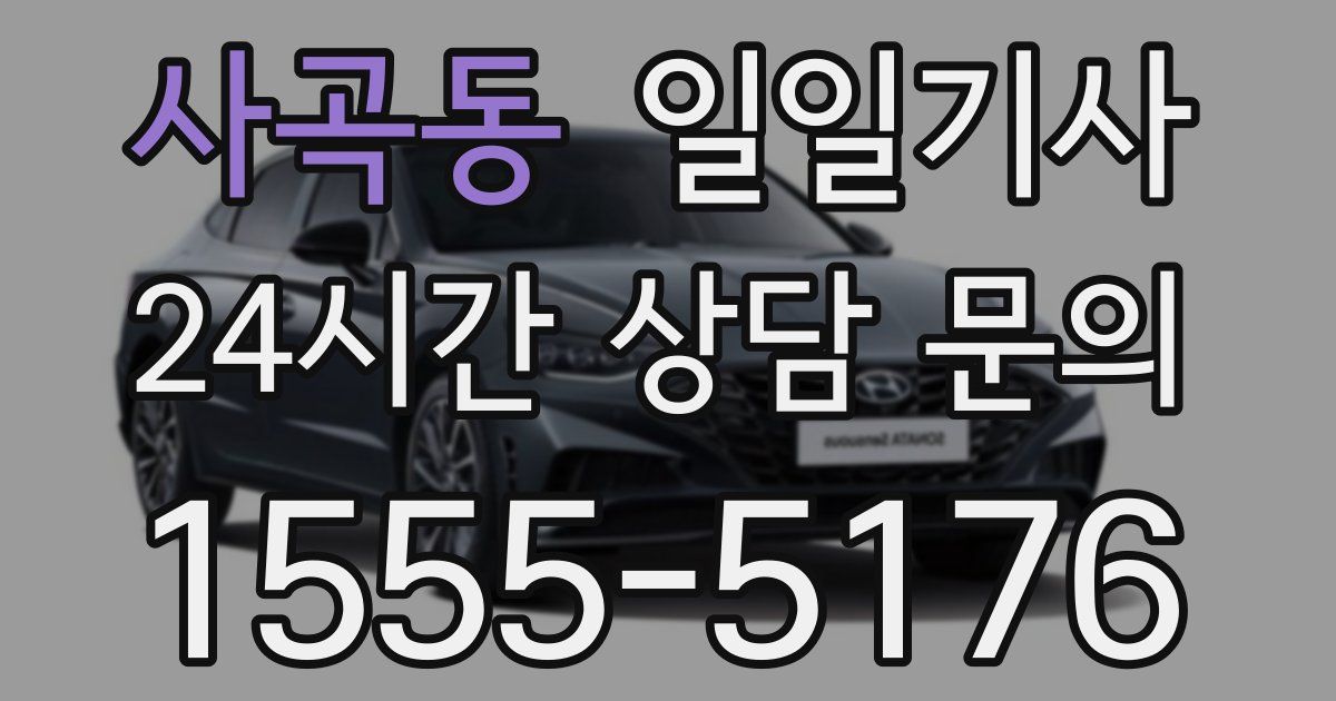 일일대리기사