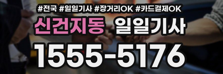 신건지동 일일기사