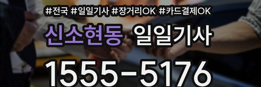 신소현동 일일기사