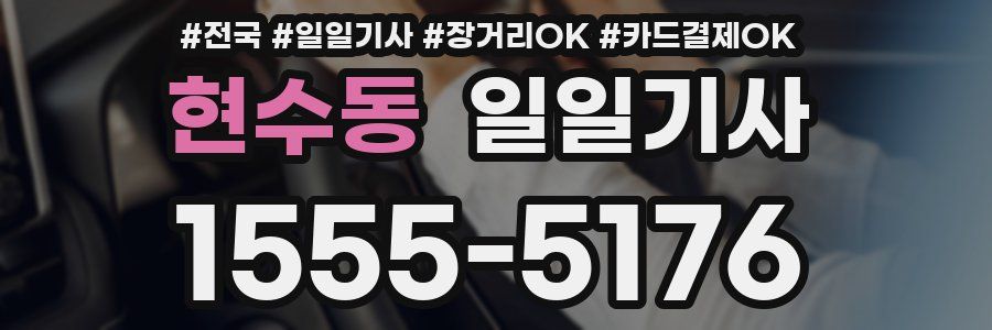 현수동 일일기사