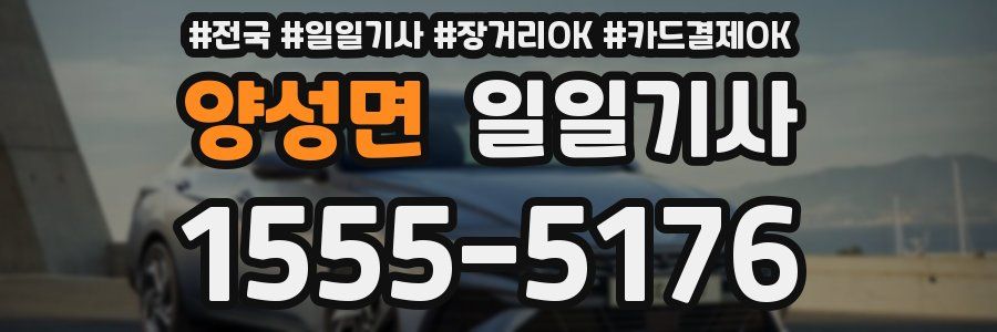 양성면 일일기사