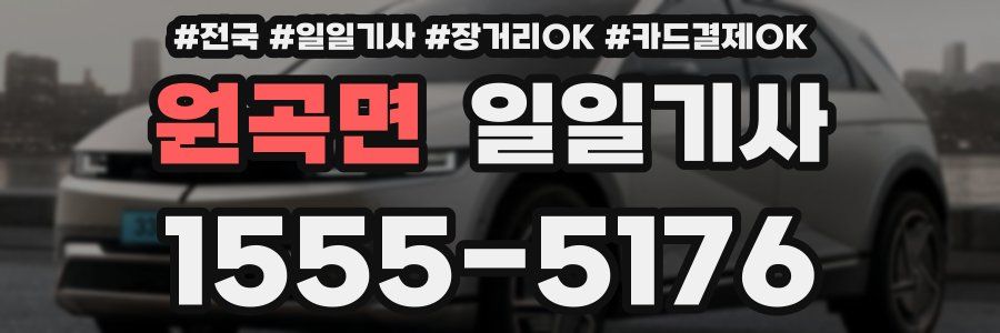 원곡면 일일기사