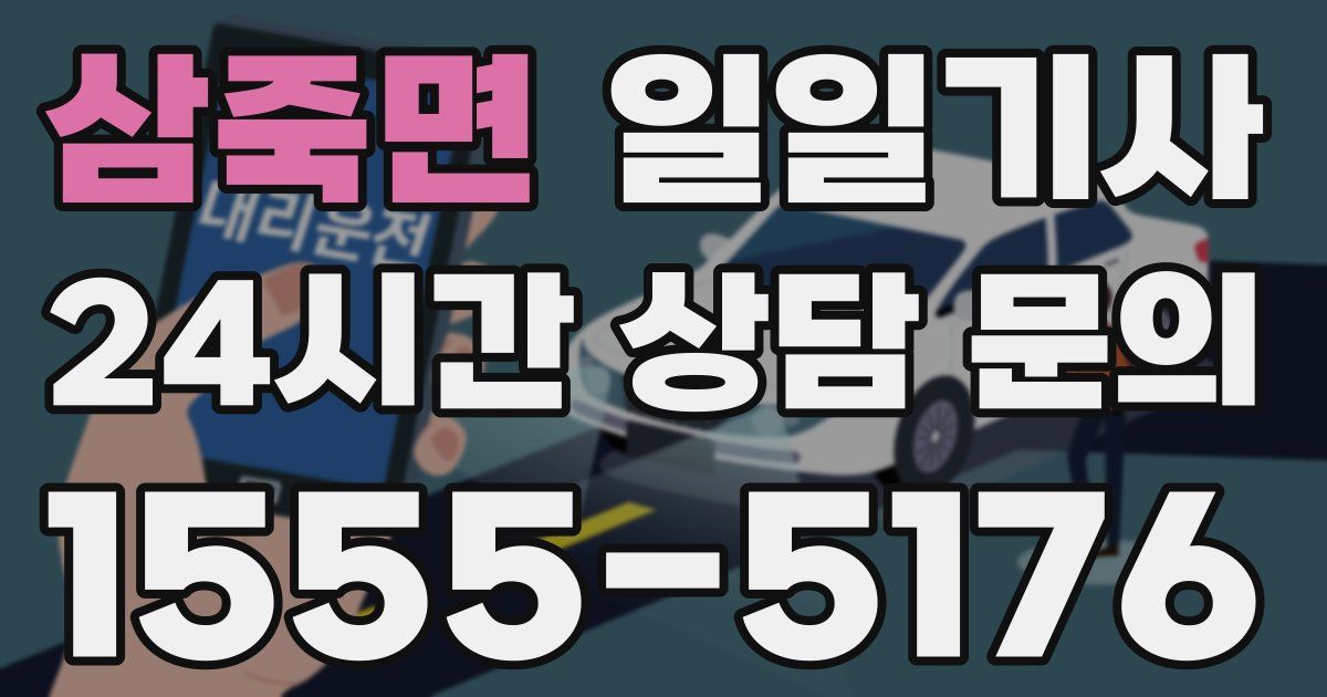 일일대리기사