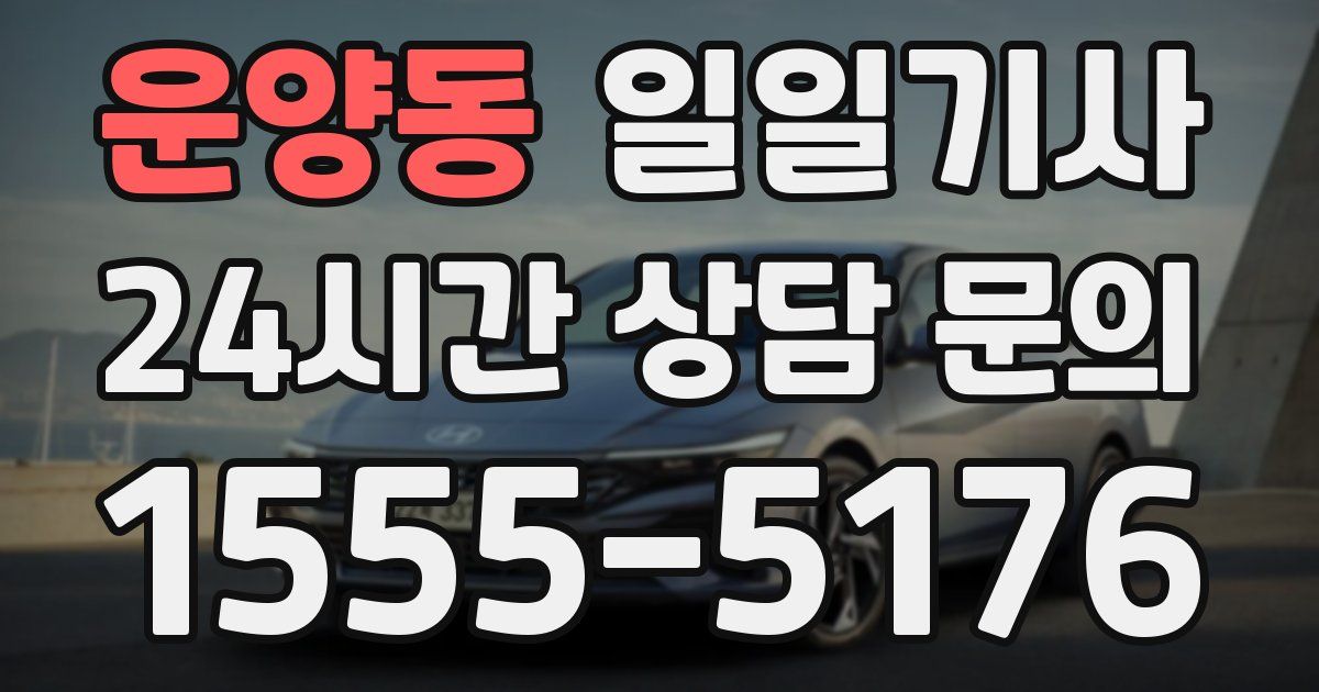 일일대리기사