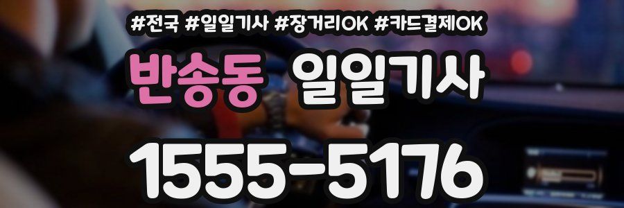 반송동 일일기사