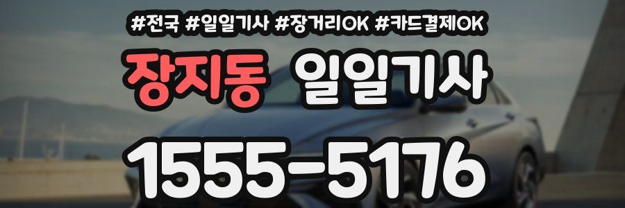 장지동 일일기사