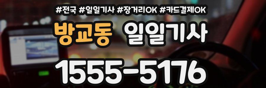 방교동 일일기사