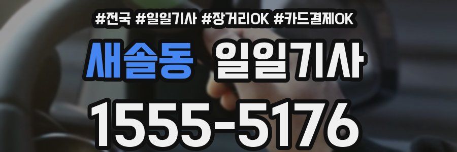 새솔동 일일기사