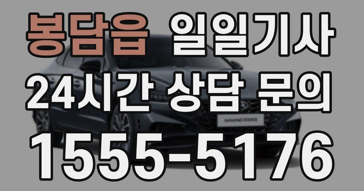 일일대리기사