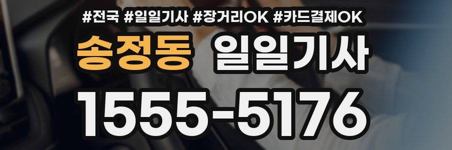 송정동 일일기사
