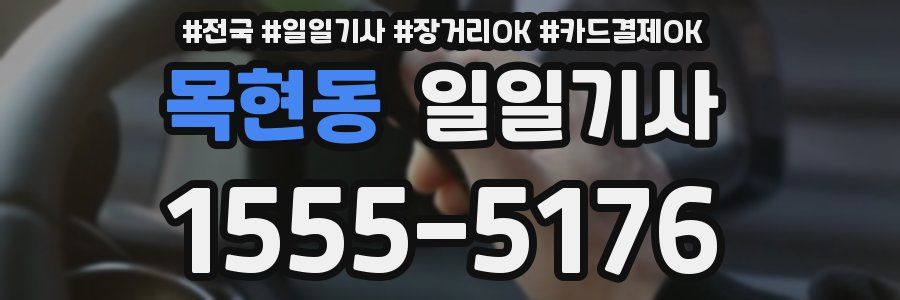 목현동 일일기사