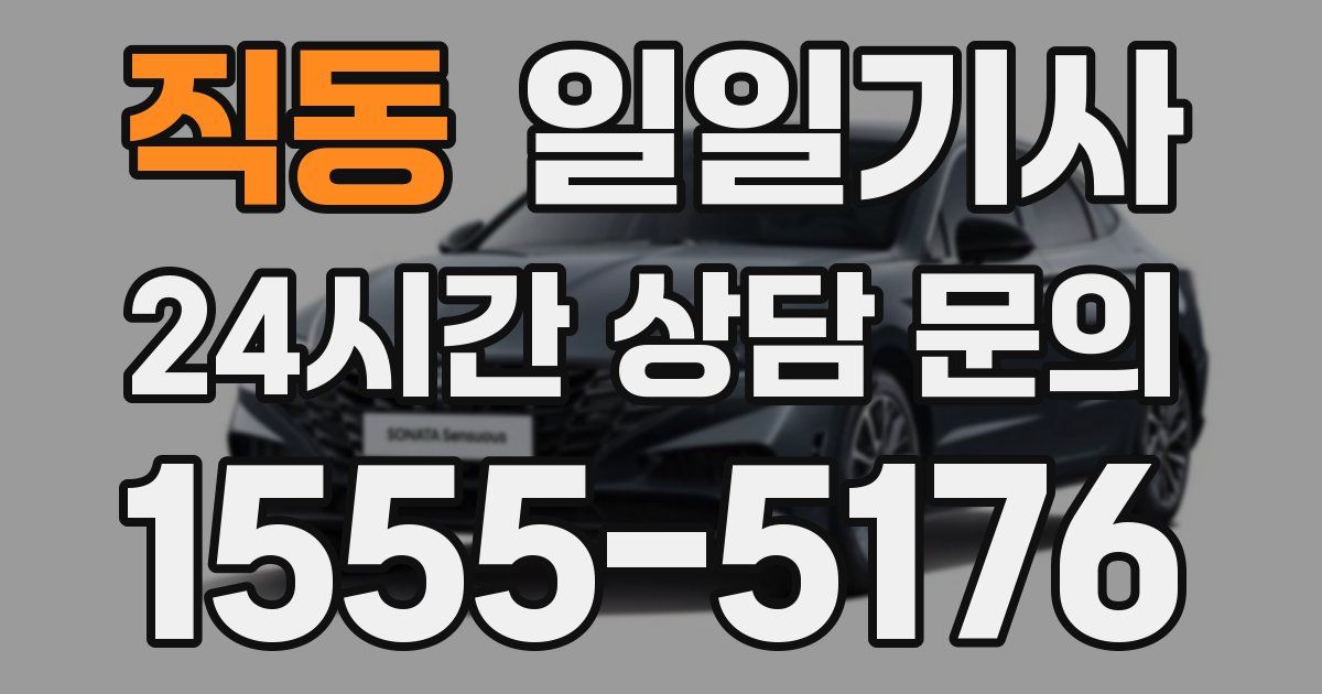 일일대리기사