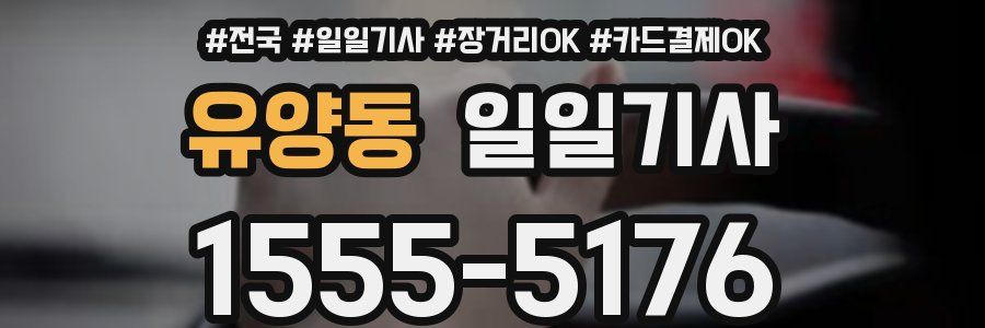 유양동 일일기사