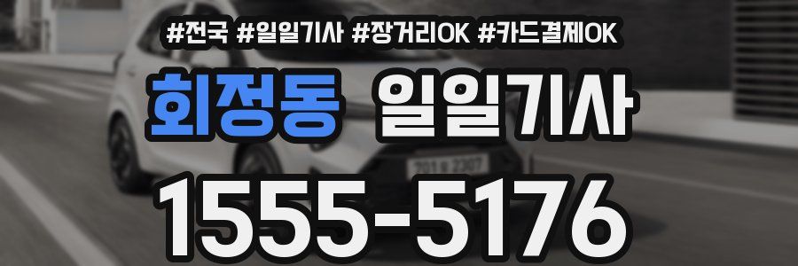 회정동 일일기사