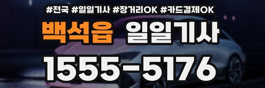 백석읍 일일기사