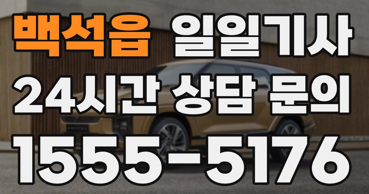 일일대리기사