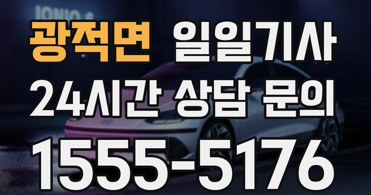 일일대리기사