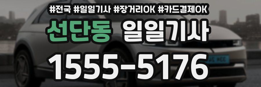 선단동 일일기사