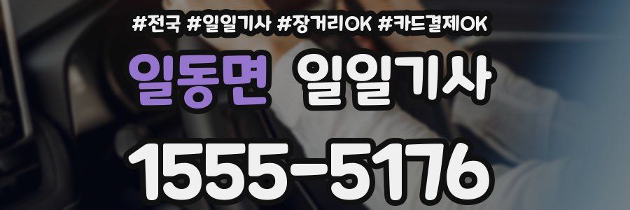 일동면 일일기사