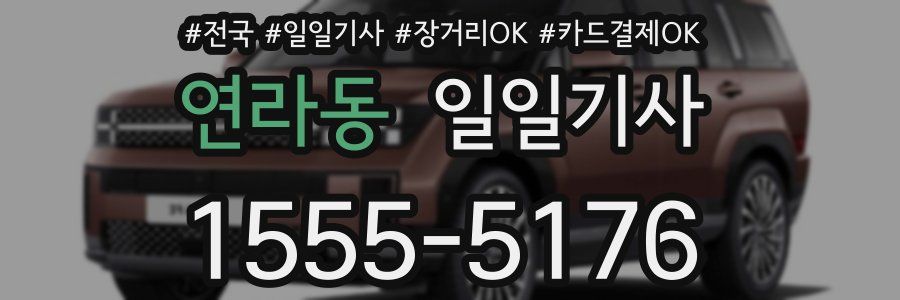 연라동 일일기사