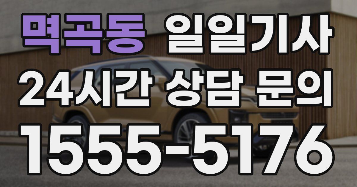 일일대리기사
