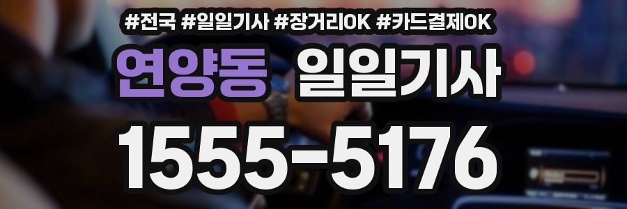 연양동 일일기사