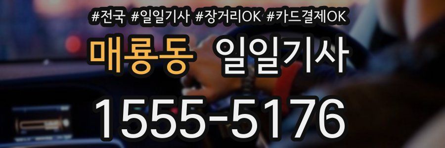 매룡동 일일기사