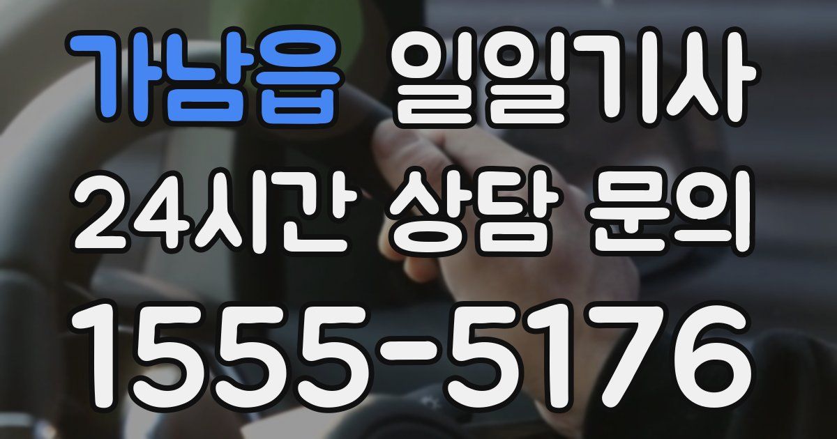 일일대리기사