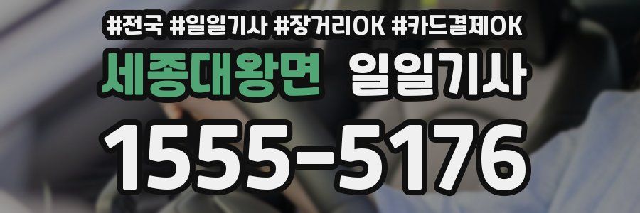 세종대왕면 일일기사