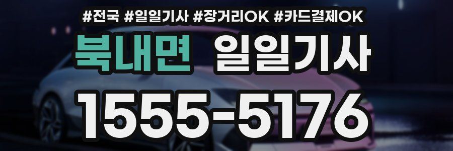 북내면 일일기사