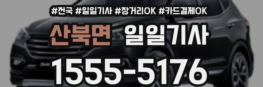 산북면 일일기사