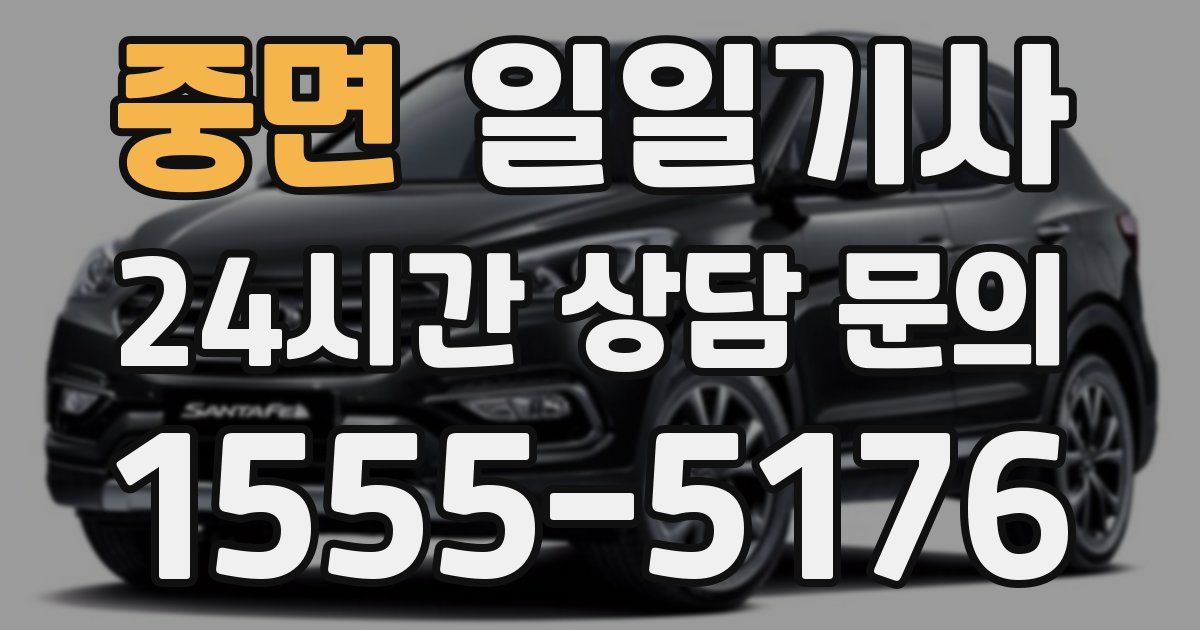 일일대리기사