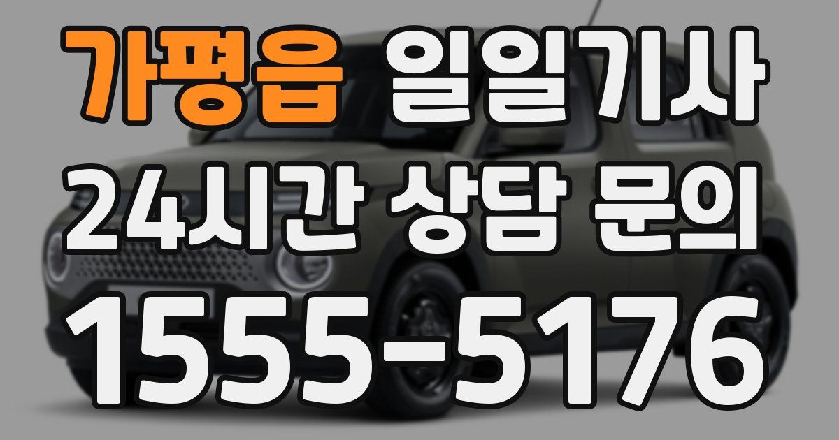 일일대리기사