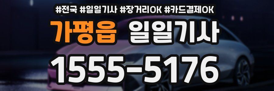 가평읍 일일기사