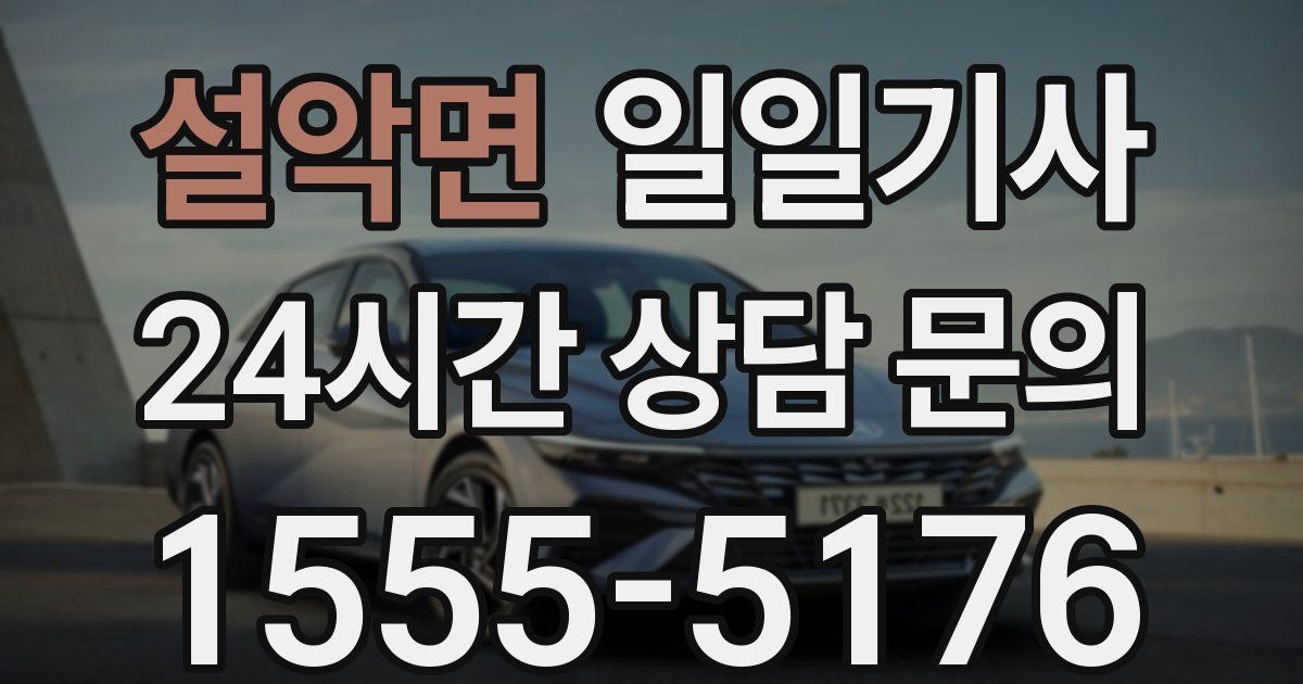 일일대리기사