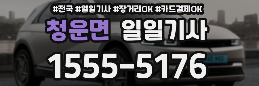 청운면 일일기사