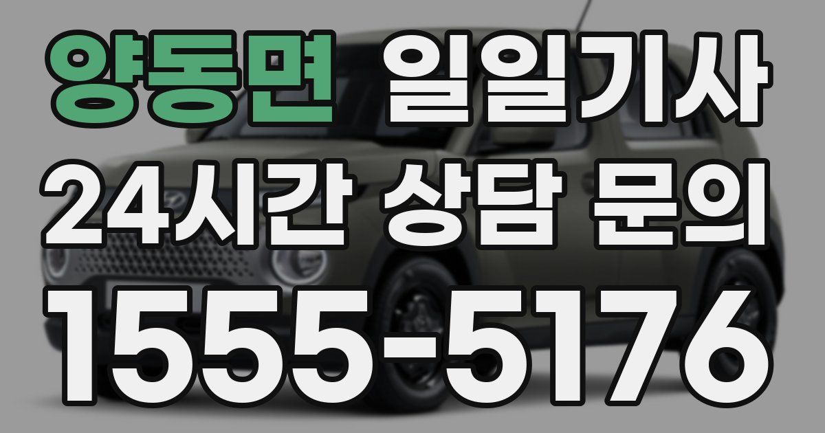 일일대리기사