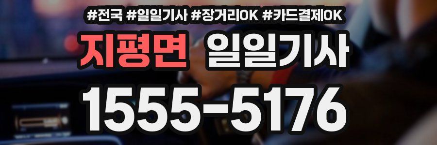 지평면 일일기사